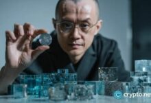 سيناتورات أمريكية تطالب بالتحقيق في عفو ترامب عن تشانغ بينغ تشاو