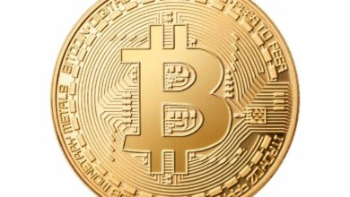 سعر البيتكوين يصل إلى أعلى مستوى جديد وسط عاصفة مثالية من العوامل المحفزة