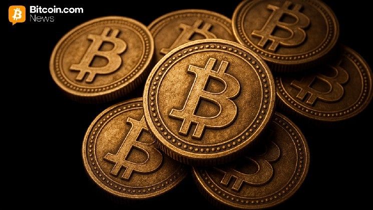 سبتمبر يشعل صحوة البيتكوين: 342 مليون دولار من العملات المفقودة تعود للحركة