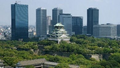 ترقية إيثريوم فوساكا تُكمل اختبار هودي النهائي استعدادًا لإطلاق الشبكة الرئيسية