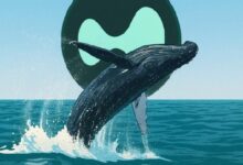 حوت "هايبر يونيت" يُغلق صفقات بيع البيتكوين الآجلة بمكسب 2.38 مليون دولار