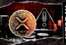 احذر لحماية أصولك: محلل يوجه تحذيراً عاجلاً لمجتمع العملات الرقمية حول XRP