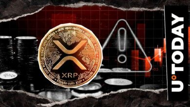 احذر لحماية أصولك: محلل يوجه تحذيراً عاجلاً لمجتمع العملات الرقمية حول XRP