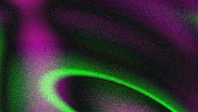 صندوق C1 يستحوذ على حصة في ريبل