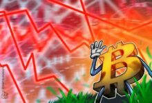 بيتر براندت: البيتكوين قد تشهد هبوطاً أخيراً قبل تحقيق قمم تاريخية جديدة