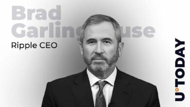 رئيس ريبل يكشف النقاب عن موعد الزلزال المالي القادم في النظام المالي