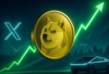 إيلون ماسك يذكر عملة Dogecoin مرة أخرى - هل تستعد عملة الميم للانطلاق؟