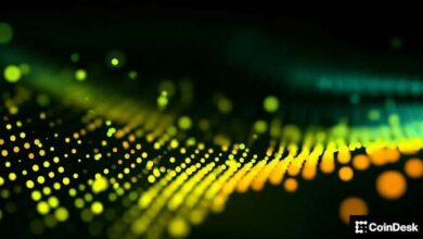 كيف يمكن لآلية التخفيض التلقائي للرافعة المالية في منصات التداول المستدام صدمة وإثارة غضب المتداولين المحترفين