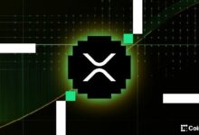 الرئيس التنفيذي لـ Teucrium: "إقبال هائل" على XRP ونجاح "استثنائي" للصندوق المتداول في البورصة الخاص بالعملة الرقمية