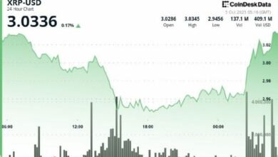 ارتفاع صاروخي لـ XRP فوق 3 دولارات والمتداولون يتطلعون إلى 4 دولارات بدعم من قمم بيتكوين الجديدة