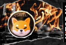 انخفاض معدل حرق Shiba Inu بنسبة 99% وسط أكبر موجة تصفية في سوق العملات الرقمية