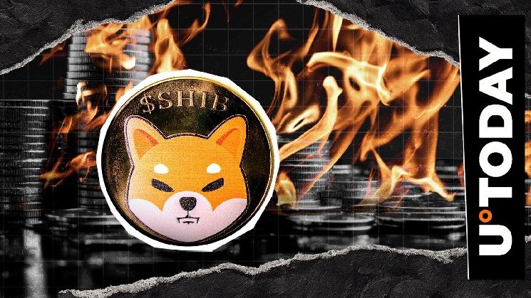 انخفاض معدل حرق Shiba Inu بنسبة 99% وسط أكبر موجة تصفية في سوق العملات الرقمية