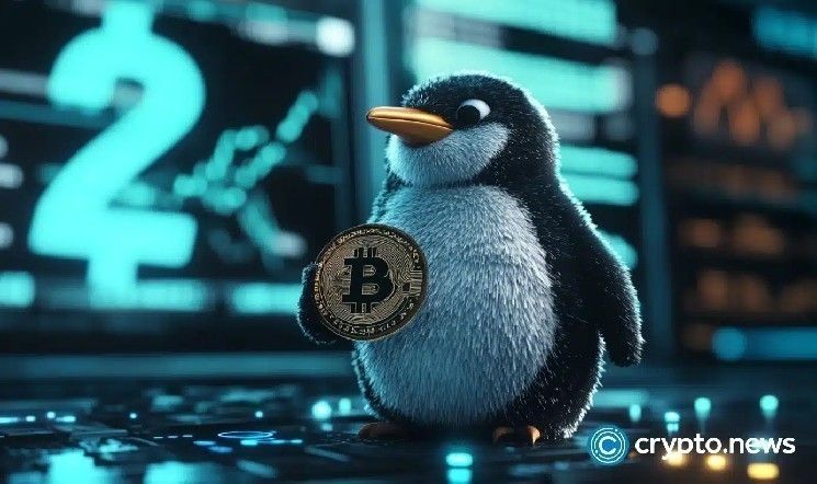 ارتفاع مبيعات NFT بنسبة 6% لتصل إلى 161.7 مليون دولار.. مبيعات مجموعة Pudgy Penguins تقفز 165%