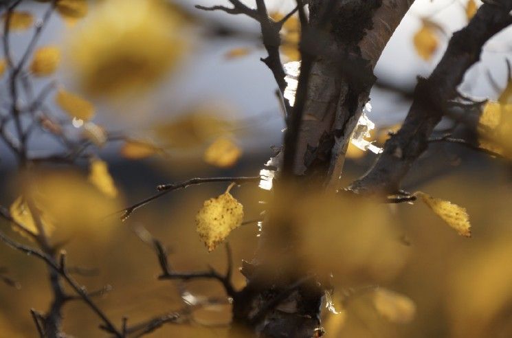 توقعات أكتوبر: موسمية البيتكوين، الاتجاهات الاقتصادية، ارتباط الذهب، وطفرة الصناديق المتداولة