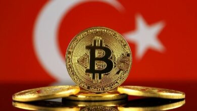 حجم تعاملات تركيا بالعملات الرقمية يصل إلى 200 مليار دولار