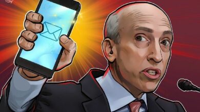 تحقيق جمهوري في رسائل غاري غينسلر المحذوفة