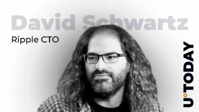 رئيس التقنية في ريبل يضيف قطعة نادرة إلى مجموعته من رموز XRP غير القابلة للاستبدال بقيمة 190,000 دولار