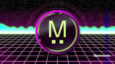 البيع العام لـ MegaETH يبدو بسعر مُذهل