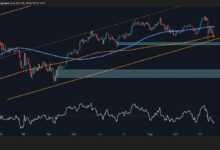 تحليل سعر البيتكوين: أولى الإشارات الهبوطية تظهر مع انخفاض السعر 20 ألف دولار من أعلى مستوى
