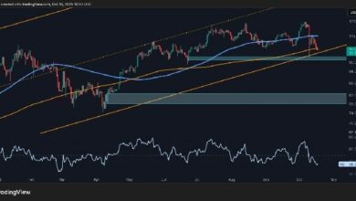 تحليل سعر البيتكوين: أولى الإشارات الهبوطية تظهر مع انخفاض السعر 20 ألف دولار من أعلى مستوى