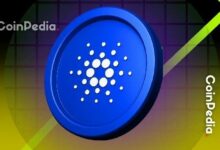 تقرير: انخفاض سعر واستخدام كاردانو مع فشل التحديثات في إثارة الإعجاب