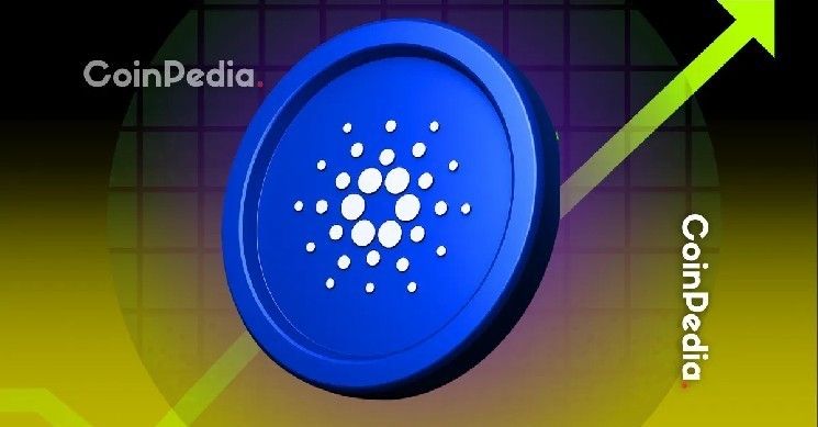 تقرير: انخفاض سعر واستخدام كاردانو مع فشل التحديثات في إثارة الإعجاب