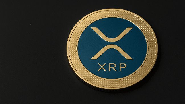 تحليل صادم: هل سينخفض سعر XRP بنسبة 40%؟ خبير يكشف عن السيناريو الأسوأ