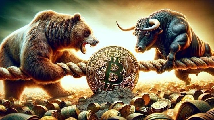 توقعات أسبوعية من محلل متمرس لسعر البيتكوين: ماذا سيحدث في الأيام السبعة المقبلة؟