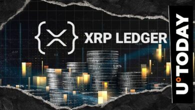 13 عامًا من الصمود: XRP على أعتاب 100 مليون محفظة رقمية