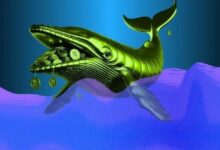 الحيتان الكبرى تتجه لشراء HYPE و PEPE بعد الانهيار.. ماذا تعرف عن خططها الاستثمارية؟