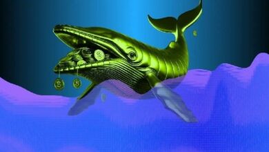 الحيتان الكبرى تتجه لشراء HYPE و PEPE بعد الانهيار.. ماذا تعرف عن خططها الاستثمارية؟