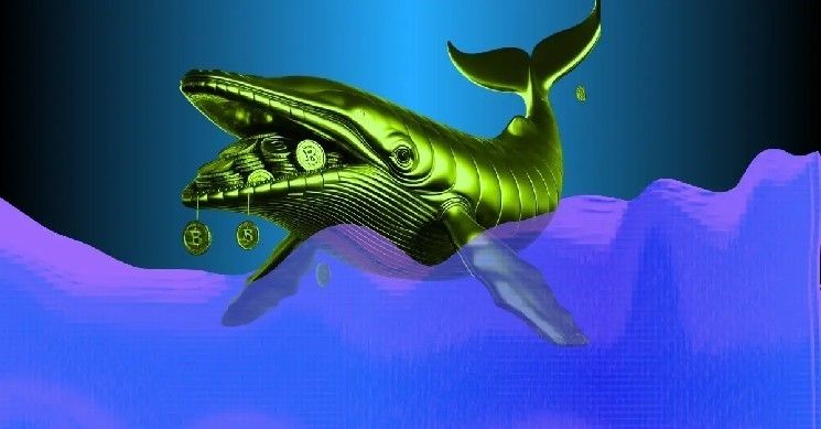 الحيتان الكبرى تتجه لشراء HYPE و PEPE بعد الانهيار.. ماذا تعرف عن خططها الاستثمارية؟