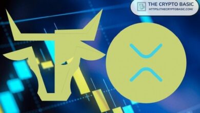 مدرب مالي: سأنظر إلى استثماري في XRP عام 2030 باعتباره جزءاً من "أعظم تحول في تاريخ البشرية"