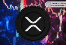 مجموعة ريلاينس تشتري XRP بقيمة 17 مليون دولار لخزينتها.. خبير: القرار يتجاوز كونه مجرد استثمار