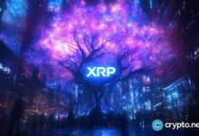تحليل سعر XRP مع هبوط حاد في معدل حرق ريبل