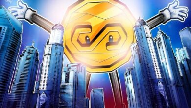 رئيس "Stripe": العملات المستقرة ستجبر "الجميع" على مشاركة العائد