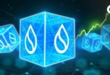 "سكولوب" تتصدر بروتوكولات التمويل اللامركزي في سوي بقيمة قفلت تصل إلى 102 مليون دولار