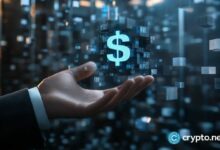 بيندل توسع عروض التمويل اللامركزي لتشمل بلازما عبر 5 أسواق عائد