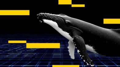 مخضرم البيتكوين الذي حقق أرباحاً من رسوم ترامب على الصين يفتح صفقة بيع قصيرة على البيتكوين بقيمة 234 مليون دولار (آركهام)