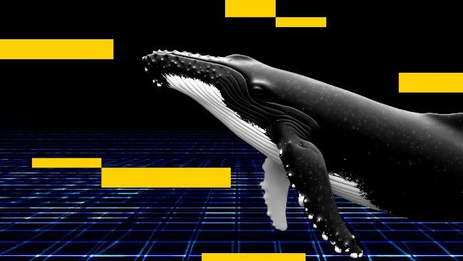 مخضرم البيتكوين الذي حقق أرباحاً من رسوم ترامب على الصين يفتح صفقة بيع قصيرة على البيتكوين بقيمة 234 مليون دولار (آركهام)