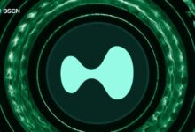 ما هي هايبرليكيد (HYPE)؟ وكيف تعمل؟