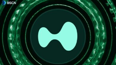 ما هي هايبرليكيد (HYPE)؟ وكيف تعمل؟