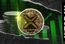 1,585,922,424 XRP تنتقل خلال 24 ساعة: ما سرّ الارتفاع الصاروخي؟