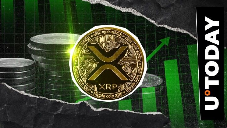 1,585,922,424 XRP تنتقل خلال 24 ساعة: ما سرّ الارتفاع الصاروخي؟