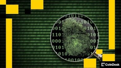 البورصات المركزية: لا تزال الأداة المفضلة لغسيل الأموال في عالم العملات الرقمية