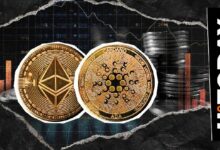 إثيريوم مقابل كاردانو: الحقيقة حول ثغرة القيمة المستخرجة من المعدنين (MEV) تحت المجهر