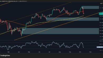 تحليل سعر البيتكوين: هل تحول زخم BTC نحو الهبوط بعد الانهيار؟