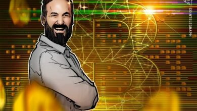 المستثمرون يبرعون في كشف خزائن البيتكوين الضعيفة: ديفيد بيلي