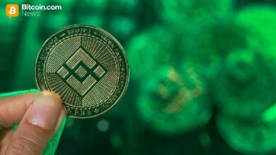 ارتداد عملة BNB 10% متحدية الركود: الخبراء يبرزون قوة الشبكة ويحذرون من التشريعات