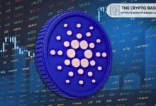 ماذا سيكون سعر كاردانو في 2045 إذا أُحرق 15% من إجمالي المعروض؟